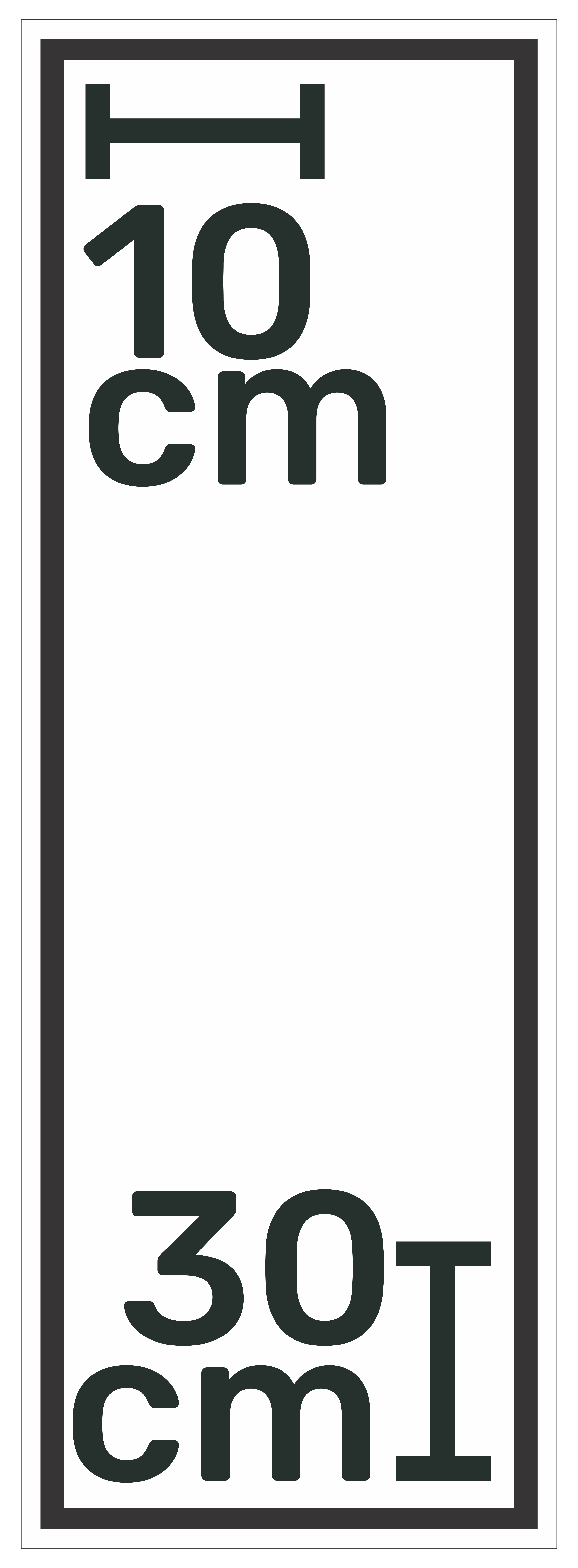 Formato 10 (10x 30cm)